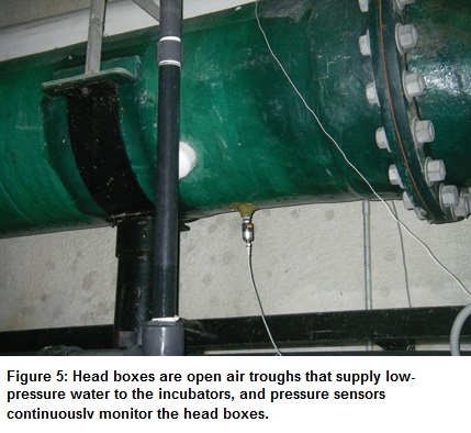 Figure-5-pressure-sensors