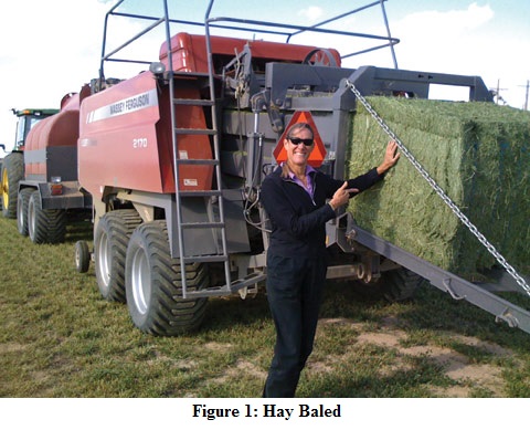Bale Hay While the Sun Shines: A Revolution in Commercial Hay Production