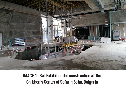 Construction of bat exhibit in Sofia