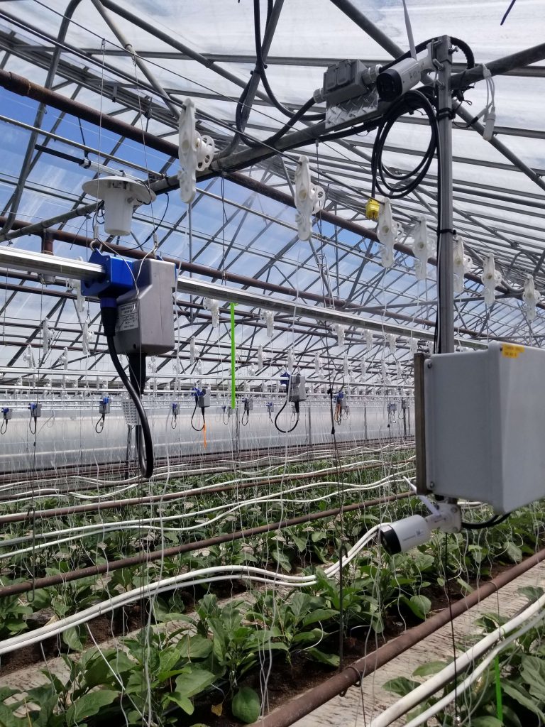 greenhouse controlled by PLCs