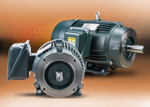EQP Global SD severe duty motors from Toshiba