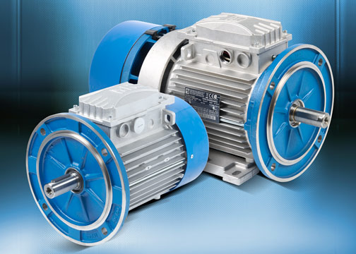 M.G.M. Electric IEC standard and brake motors